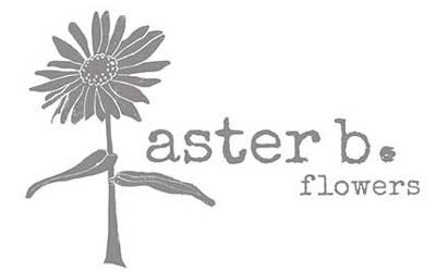 Aster-b